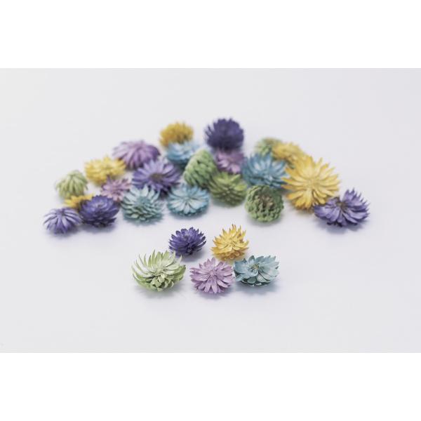 【商品番号：034-07791】/【VAR：54960】20190104new/bk-1045/bk-2108ドライ実物＆フルーツ 松かさ、から松