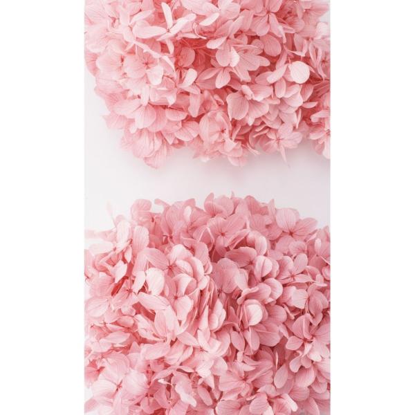 vU[uh n_ s~bhAWTC wbh NEhsN 01510-195 vU[uht[ԍ AWTC