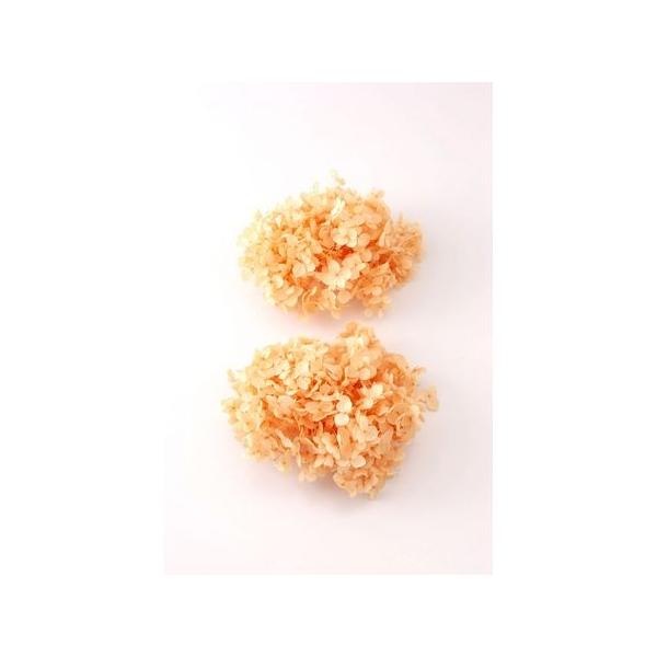 vU[uh n_ Aix wbh 2 WAIW 02160-361 vU[uht[ԍ AWTC