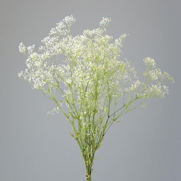 【商品番号：034-08162】/【VAR：81363】20200118new/bk-3005/bk-4006プリザーブドフラワー花材 カスミ草