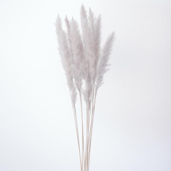 【商品番号：034-08354】/【VAR：63083】20200519new/fuwa2020/bk-2004/tepu-1/bk-3013/fuw-01/bk-4010ドライ穂物 その他