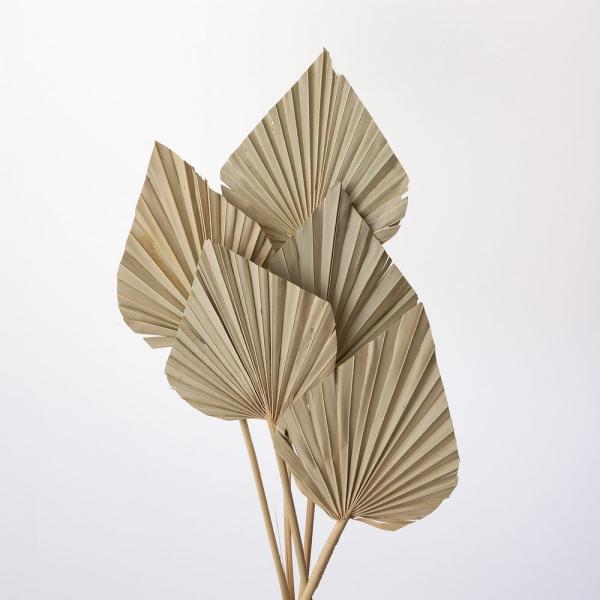 【商品番号：034-08429】/【VAR：63105】20200605new/bk-2026/bk-4007ドライ葉物 リーフ