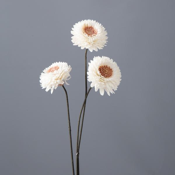 ソーラーダリア 白 9輪 Www Vetrepro Fr