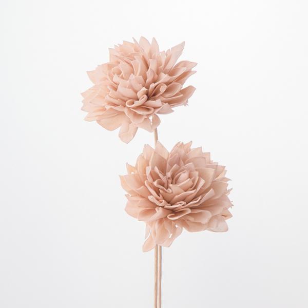 【商品番号：034-08829】/【VAR：65651】20220618new/bk-3019/milkypinkソラフラワー ソラダリア【大地農園】