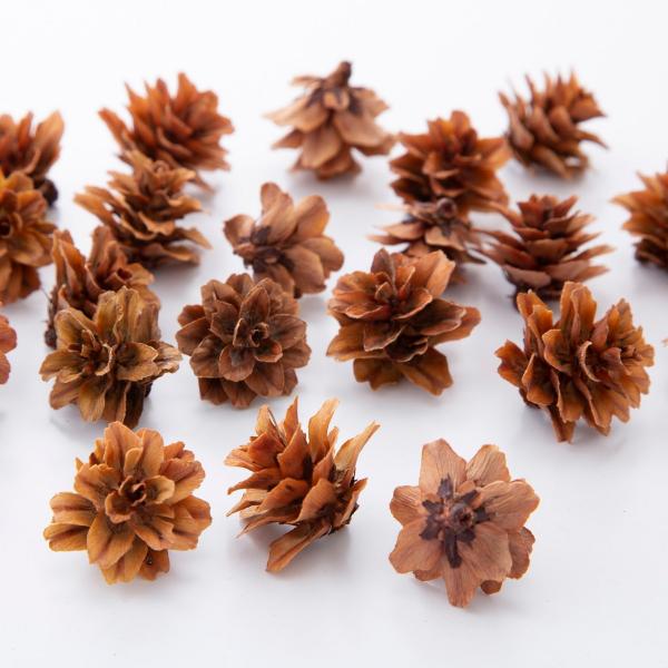 【商品番号：034-09110】/【VAR：4473】date20250722ドライ実物＆フルーツ 木の実