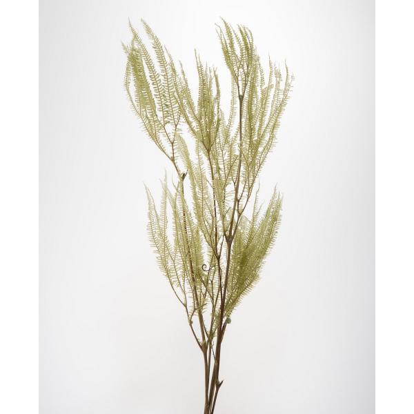 【商品番号：034-09133】/【VAR：67661】20230627new/shd-001プリザーブドグリーン 葉物/正月