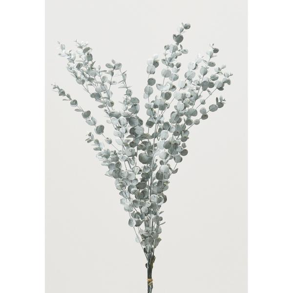 【商品番号：034-09354】/【VAR：4427】date20240722/999color10214プリザーブドグリーン 葉物