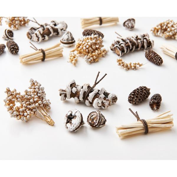 【商品番号：034-09398】/【VAR：81361】date20240722/999color10214/15px-002ドライ実物＆フルーツ 木の実【大地農園】