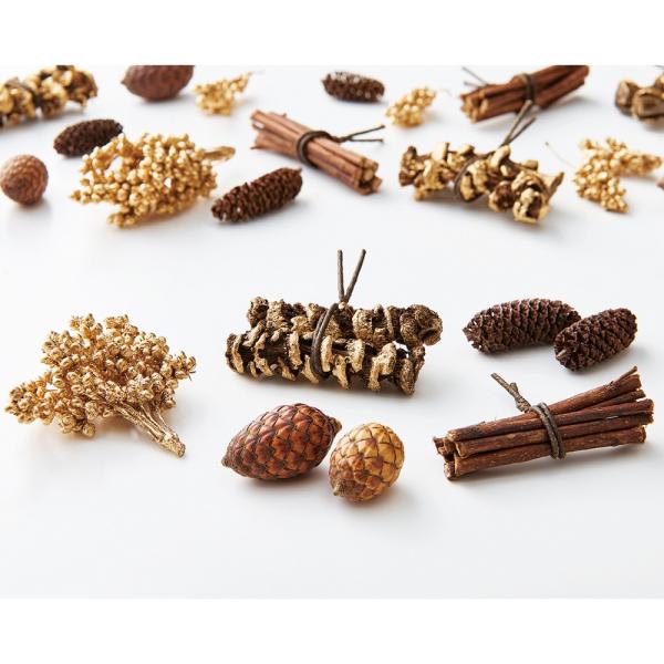 【商品番号：034-09399】/【VAR：81361】date20240722/999color10214/15px-002ドライ実物＆フルーツ 木の実【大地農園】