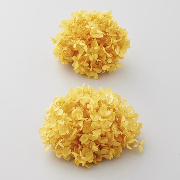 【商品番号：034-09489】/【VAR：4394】date20241216プリザーブドフラワー花材 アジサイ【大地農園】