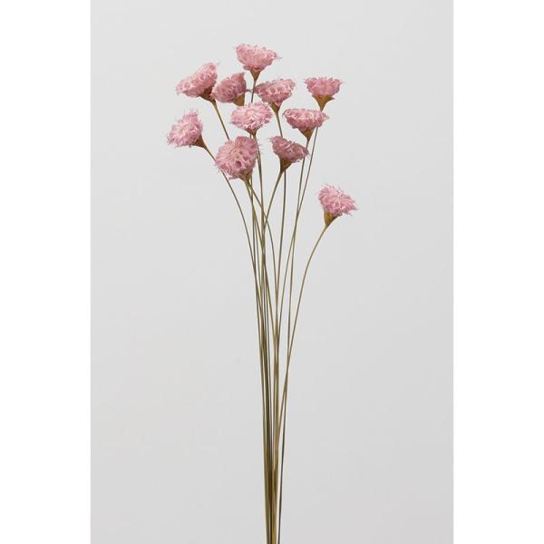 【商品番号：034-99264】/【VAR：84218】date20250722ソラフラワー その他ソラフラワー