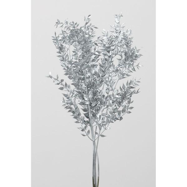 【商品番号：034-99281】/【VAR：4380】date20250722ドライ葉物 葉物【大地農園】