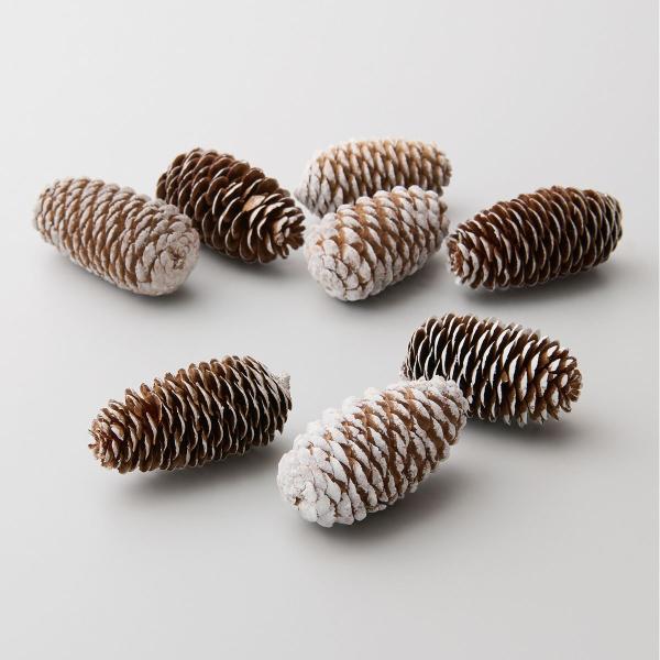 【商品番号：034-99294】/【VAR：84220】date20250722ドライ実物＆フルーツ 木の実