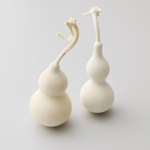 【商品番号：034-99309】/【VAR：81359】date20250722ドライ実物＆フルーツ その他