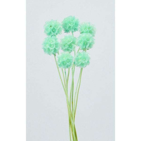 【商品番号：034-99393】/【VAR：81429】date20260104ドライフラワー花材 その他ドライフラワー【大地農園】