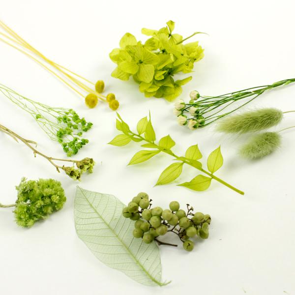 【商品番号：035-01513】/【VAR：63150】20200908new/P17yes-009ドライフラワー花材 その他ドライフラワー