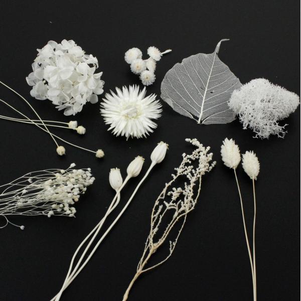【商品番号：035-01514】/【VAR：63150】20200908new/17love004ドライフラワー花材 その他ドライフラワー