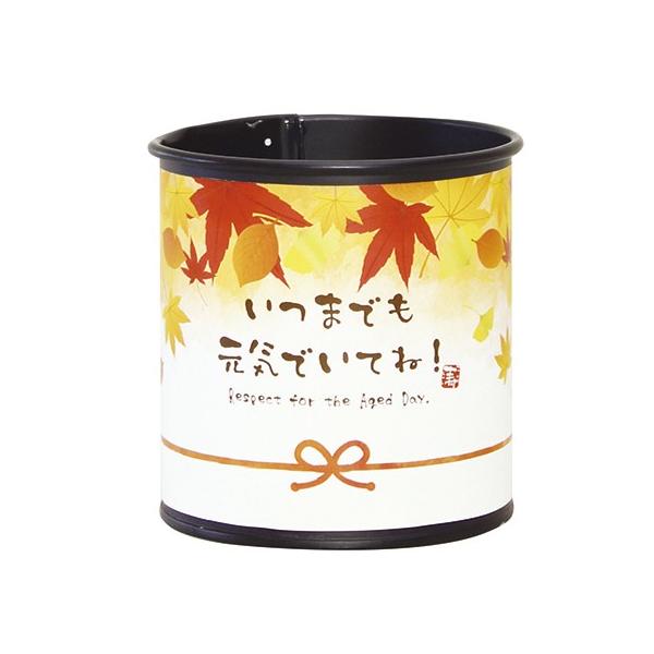 LittleGarden フェールブランポット 46敬老 もみじ ux1646 花器 花瓶