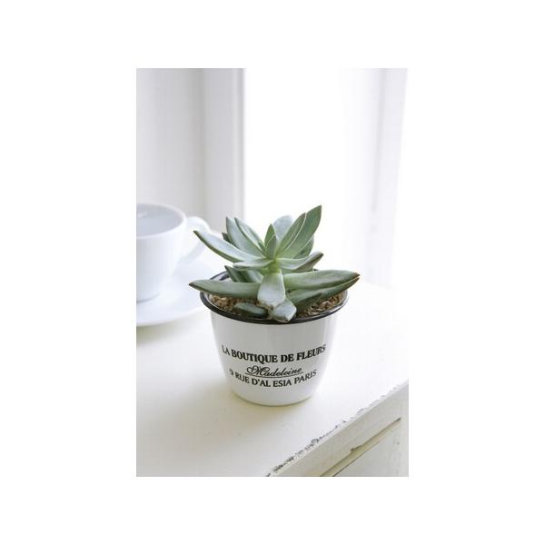 Aؔ  07 RxgK[f Gi t[|bg S  LM-12 K[fjO |pi t[|bg