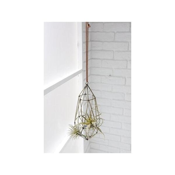 Jo[  07 RxgK[f }[L[Y t[nO KW-04 K[fjO |pi t[|bg Jo[