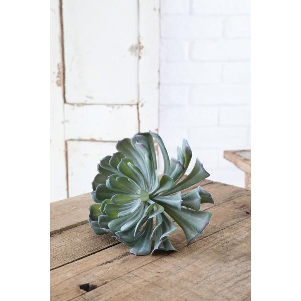 07  RxgK[f GPxAsbN [W OP-09 ԗtAtFCNO[ GAvc