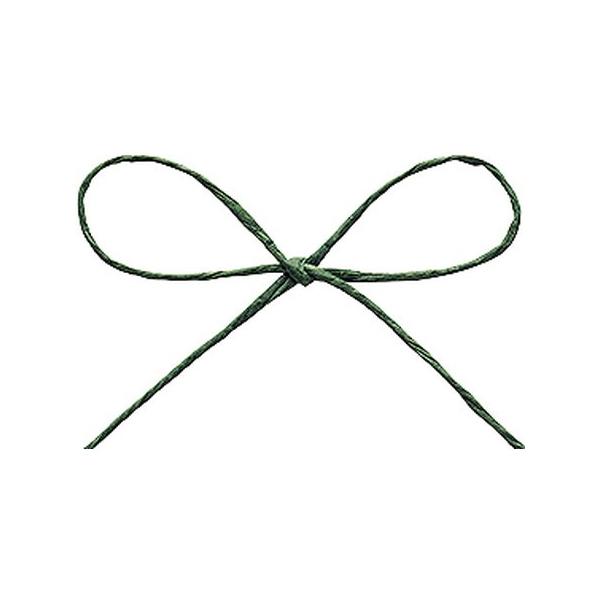 �������{�� �p�s�G�[�� ��1mm��×130m 62�t�H���X�g�O���[�� 46711-62 �R�A�R�[�h