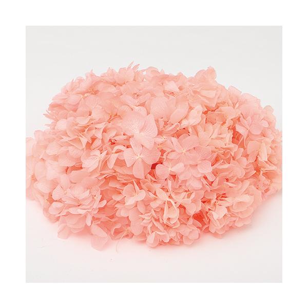 vU[uh  \tg vVXsN 2.5 64165 vU[uht[ԍ AWTC