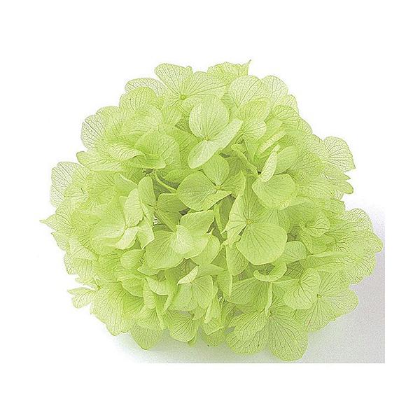 vU[uh  \tg tbVO[ 2.5 64166 vU[uht[ԍ AWTC