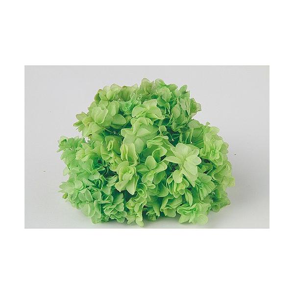 vU[uh  \tgt O[ 2 64211 vU[uht[ԍ AWTC