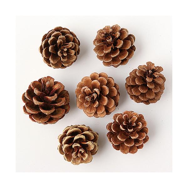 【商品番号：049-00388】/【VAR：8388】4940095661747/2019newyear//bk-2045ドライ実物＆フルーツ 松かさ、から松/正月