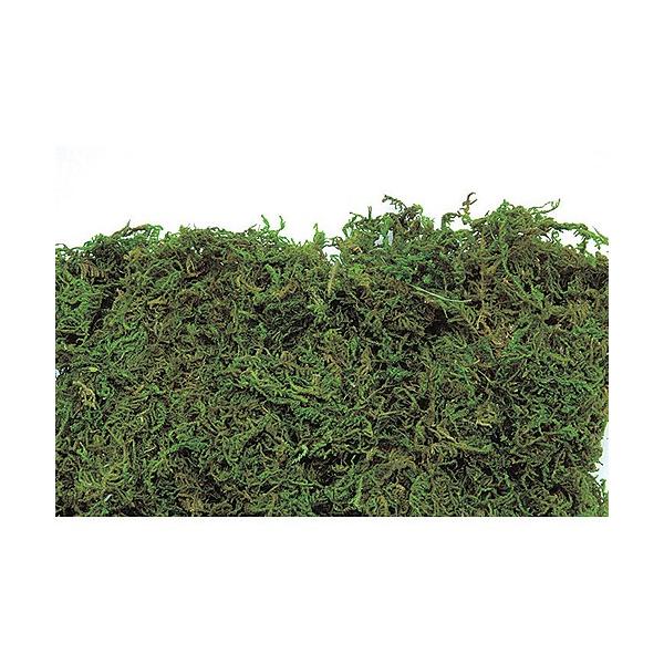 【商品番号：049-00876】/【VAR：8302】/TOKA/71074/4940095710742/bk-0026/2019newyear//bk-3017ドライ葉物 モス・苔