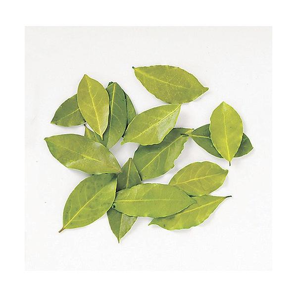 【商品番号：049-00910】/【VAR：8300】TOKA/70104/4940095701047/aki_drypuri2015_003/bk-0026ドライ葉物 リーフ