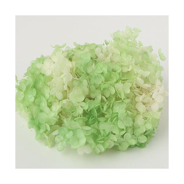 vU[uh  \tgAixptFt[gQDT 64250 vU[uht[ԍ AWTC