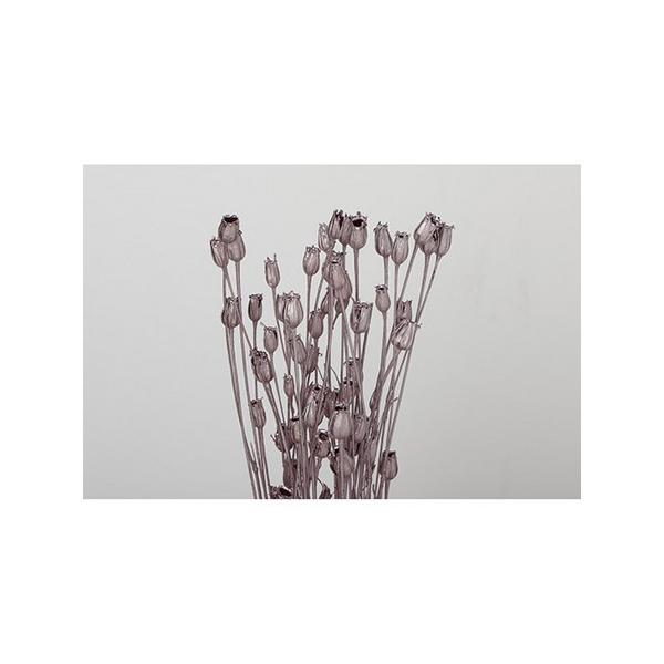 【商品番号：049-03266】/【VAR：】4940095744037/20160911new/15pny-006/15px-002/opk-2019ドライフラワー花材 その他ドライフラワー