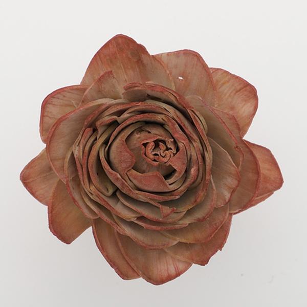 【商品番号：049-03412】/【VAR：50778】4940095754616/20180627new/bk-3019ソラフラワー ソラローズ【東花】