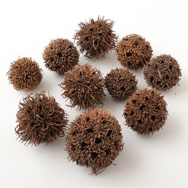 【商品番号：049-03545】/【VAR：50790】4940095662294/20180627newドライ実物＆フルーツ 木の実【東花】