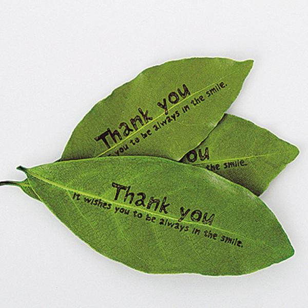 【商品番号：049-03736】/【VAR：63060】20200414newドライ葉物 リーフ【東花】