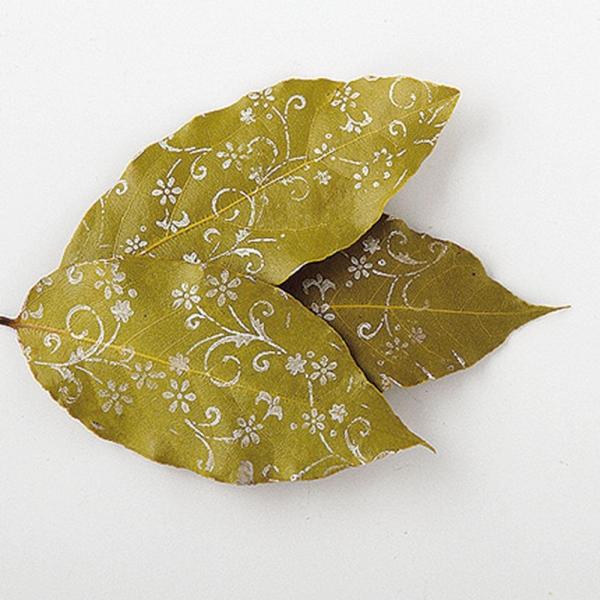 【商品番号：049-03738】/【VAR：】20200414newドライ葉物 リーフ