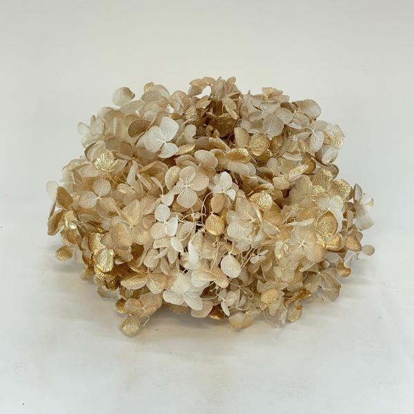 プリザーブド 東花 ソフトあじさいアナベル 約2.5輪 ホワイト×ゴールド