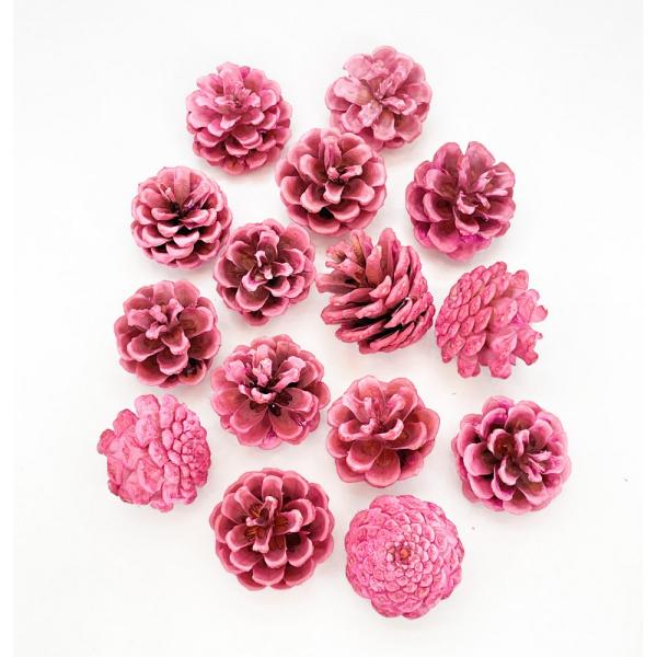 【商品番号：049-04153】/【VAR：8388】date20241008ドライ実物＆フルーツ 松かさ、から松