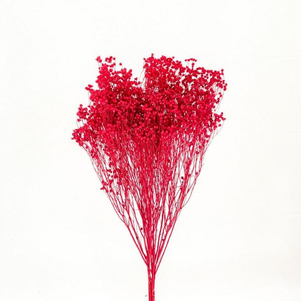 【商品番号：049-04159】/【VAR：50784】date20241008ドライフラワー花材 その他ドライフラワー