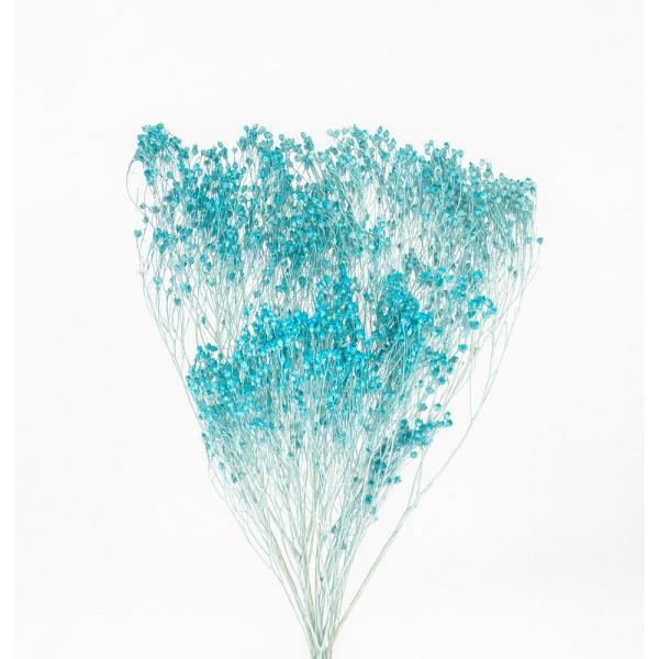 【商品番号：049-04177】/【VAR：50784】date20241008ドライフラワー花材 その他ドライフラワー