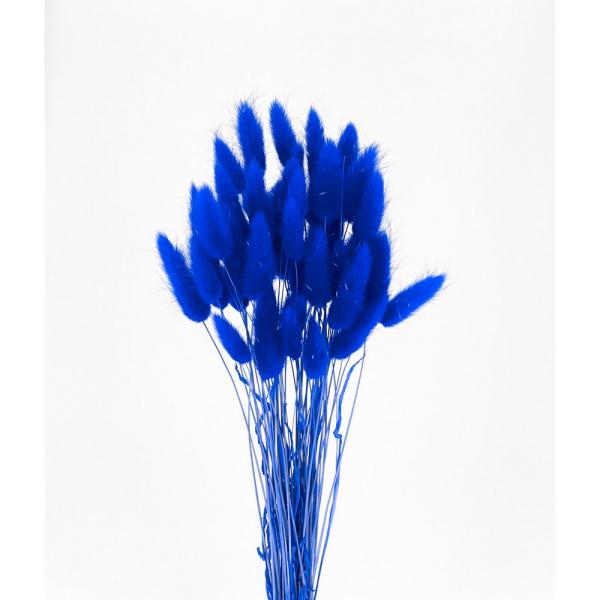 【商品番号：049-04179】/【VAR：8255】date20241008ドライフラワー花材 ラグラス