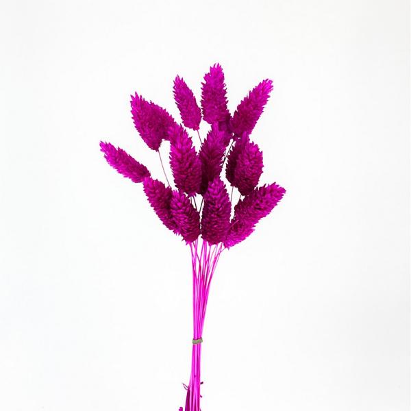 【商品番号：049-04188】/【VAR：8354】date20241008ドライフラワー花材 ポアプランツ