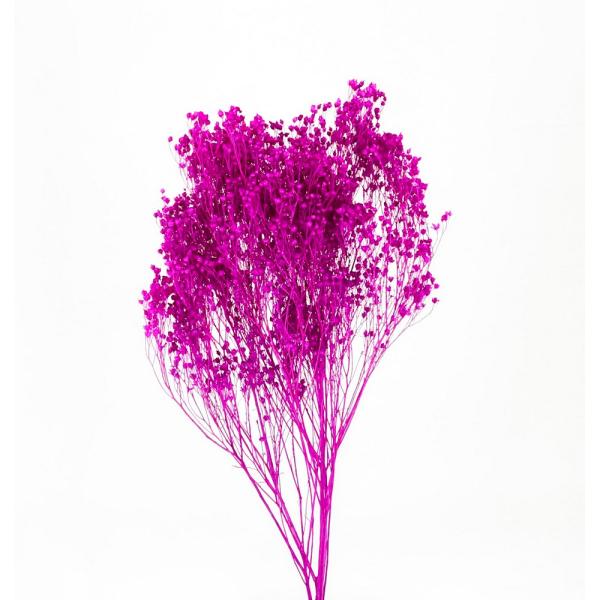 【商品番号：049-04190】/【VAR：50784】date20241008ドライフラワー花材 その他ドライフラワー