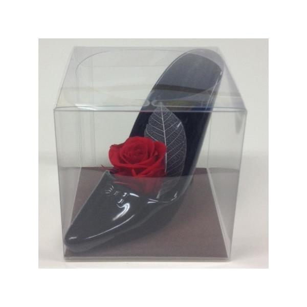 PETNAP[X@L[u@SS ͂ȂǂIWi   10 bsO Mtg{bNX NAP[X {bNX