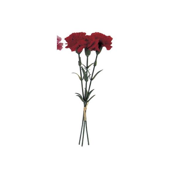  AXJ ~jJ[l[Vo` 13{ @bh A-31283-2  ԍށusv J[l[V