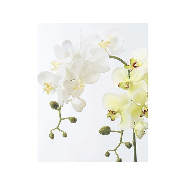  AXJ R`E S ×6 ڂ×5@zCg A-31257-1  ԍށusv R`E Ӓ