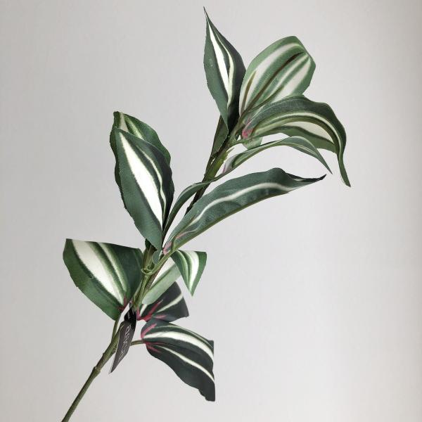 【商品番号：051-03280】/【VAR：】新商品201301　ASUKA　アスカ商会/A-46089-051V/4511255247363/biridal_kikaku-31/bk-0031/170817pu/171025pu/1711...