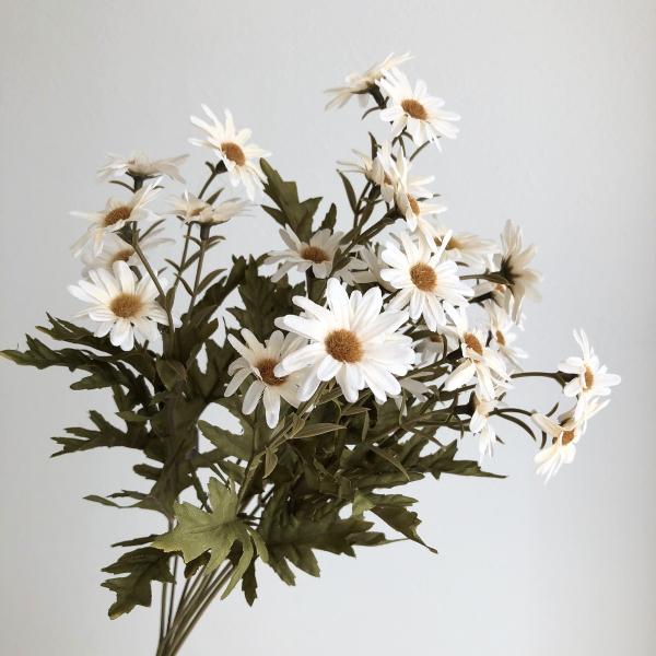 マーガレット商品です hanadonya_051-09749